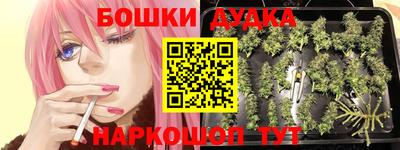 гашик Дубна