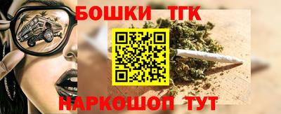 гашик Дубна