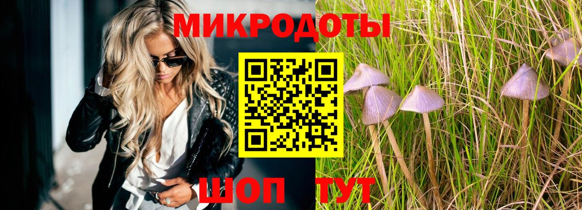 Вологда  Псилоцибиновые грибы прущие грибы  Вход с VPN 
